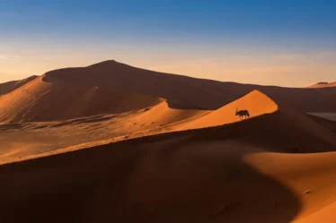 Visa Namibie à 82 € : guide e-visa et safaris africains 2026