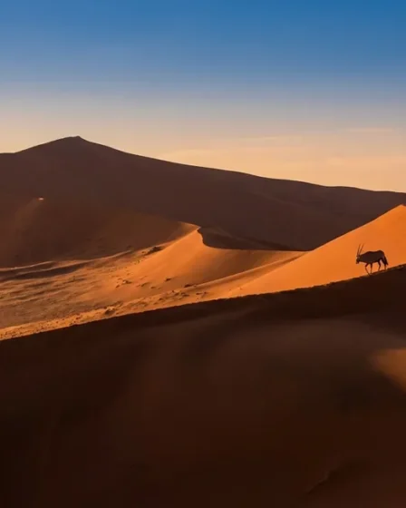 Visa Namibie à 82 € : guide e-visa et safaris africains 2026