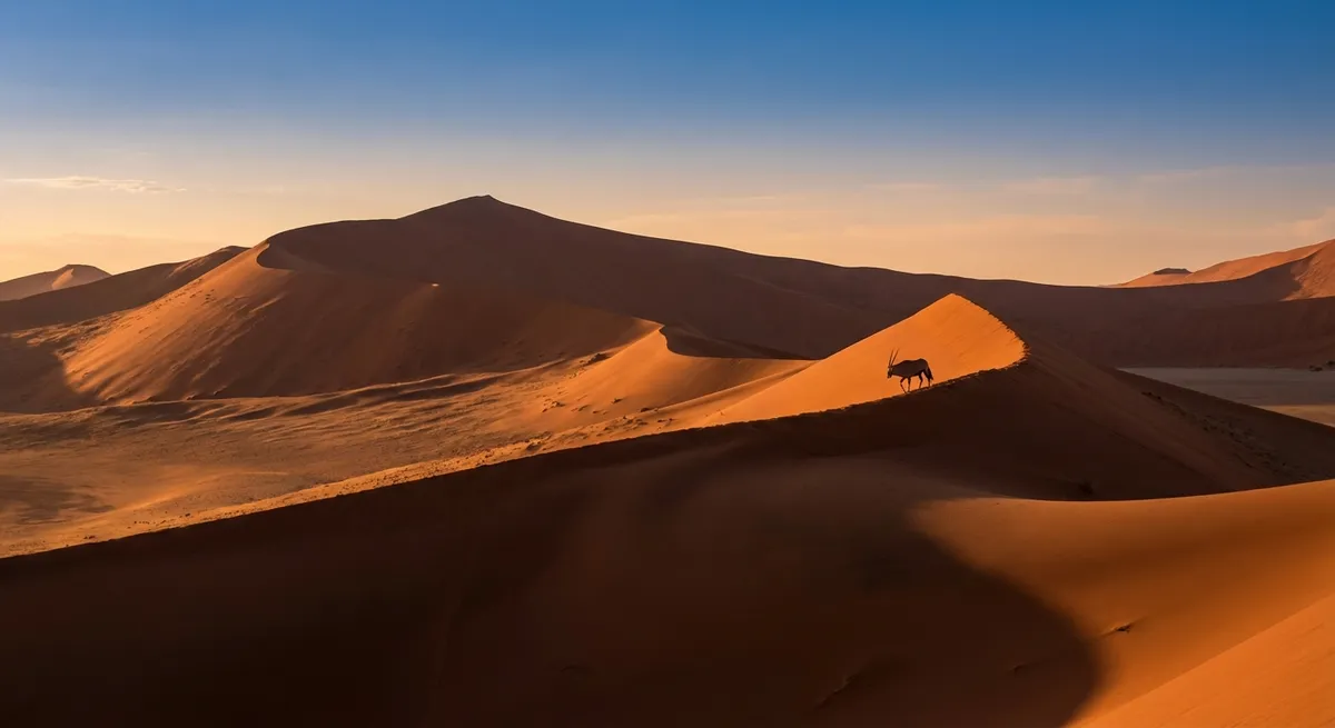 Visa Namibie à 82 € : guide e-visa et safaris africains 2026