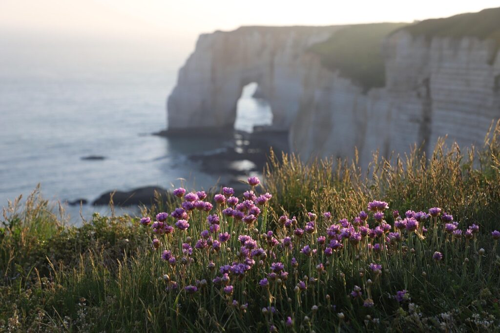 Paysage Normandie